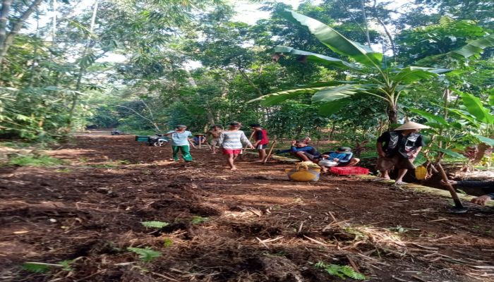 Program PKTD Desa Setrojenar Tahun Anggaran 2021