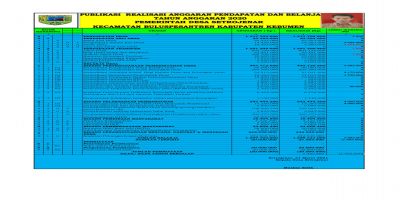 Laporan Realisasi Pertanggungjawaban APBDes 2020