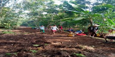 Program PKTD Desa Setrojenar Tahun Anggaran 2021